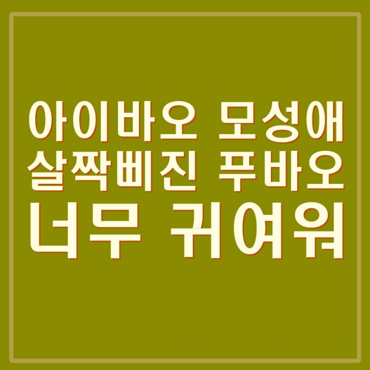  아이바오 쌍둥이 출산 후 모성애 감동. 삐진 푸바오 잠 설쳐. 그래도 너무 귀여워..