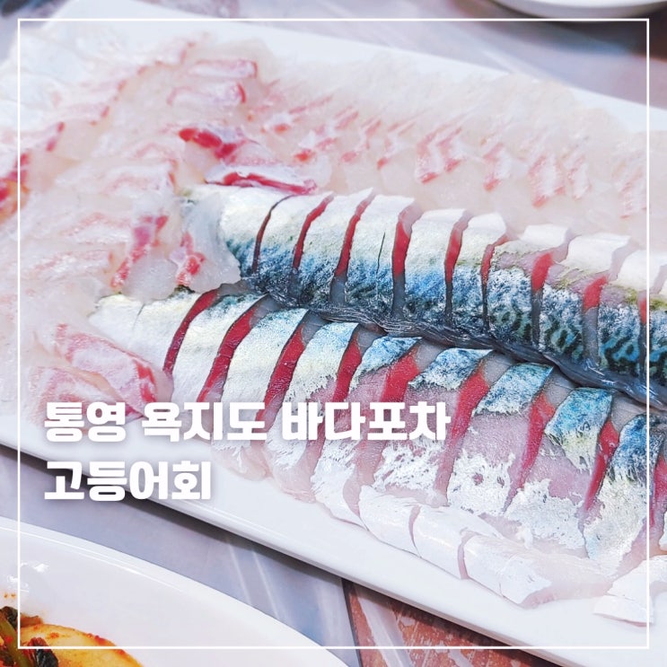  통영 욕지도 횟집 바다포차 고등어회 물회