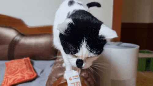  고양이 츄르 영양제 추천 허비캣 구강싹싹(연어)으로 입냄새 구내염 걱정 덜어요