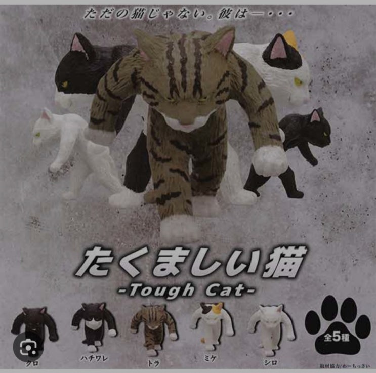  [벼룩]_기담클럽_터프한 고양이_름름한고양이_5종 풀셋_가챠_피규어_가샤폰