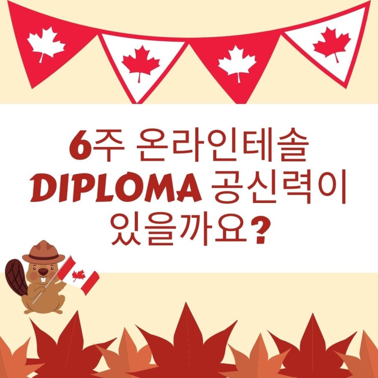 6주 온라인테솔 Diploma 공신력이 있을까요? Q&A