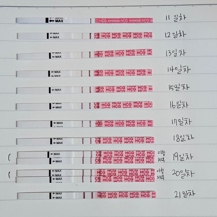 두줄인데 : 배란 11 ~ 21일차 임테기 / 너무 무증상 ㅠ