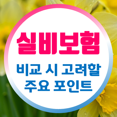 70대 실비보험 비교 시 고려해야 할 주요 포인트