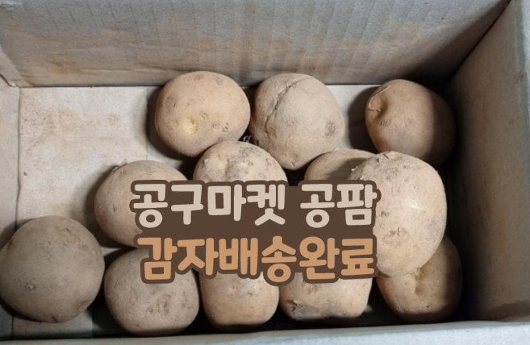  공구마켓 공팜 맞팜 농장 무료게임 감자 배송받았어요!