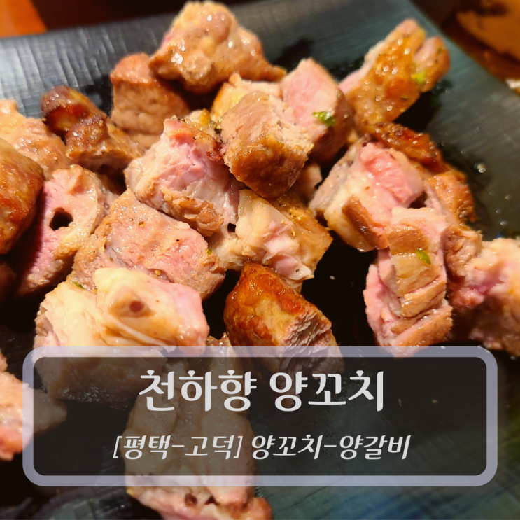  [평택-고덕양꼬치] 천하향양꼬치