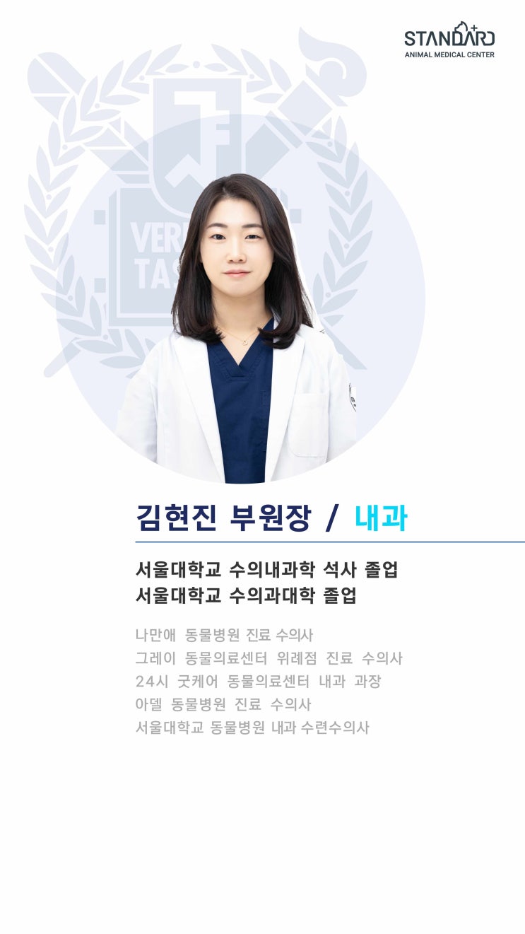  부원장 김현진 (내과) - 24시 스탠다드동물의료센터
