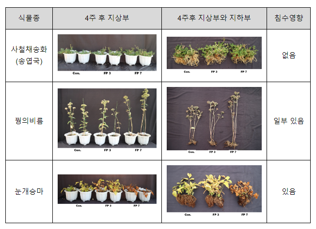 “물에 자주 잠기는 길가 화단, 이 식물 심으세요”