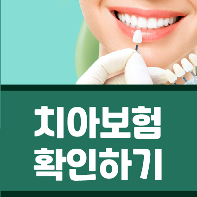 aig무배당치아보험 aia이보다더좋은치아보험 알아보고 무배당더건강한치아보험 살펴보기