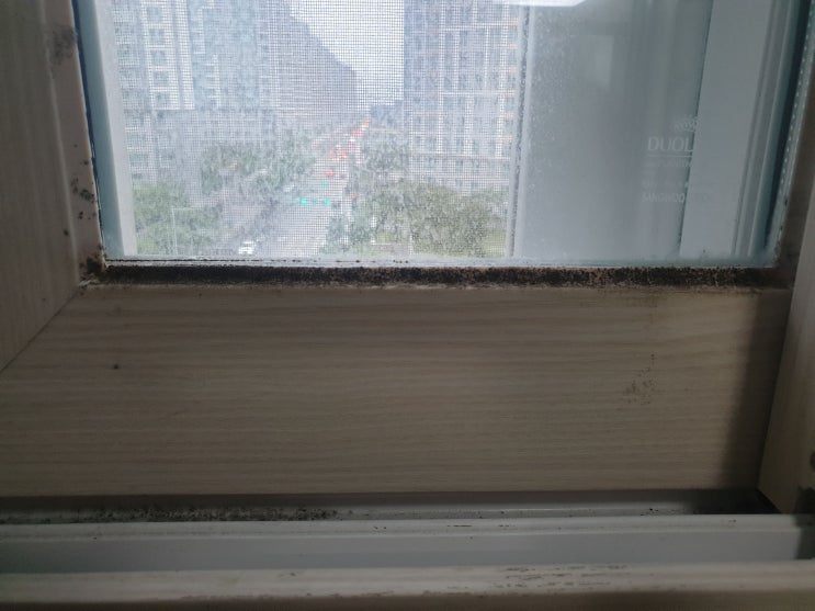  부산강서구입주청소 명지중흥2차 곰팡이 제거는 끈기 있게