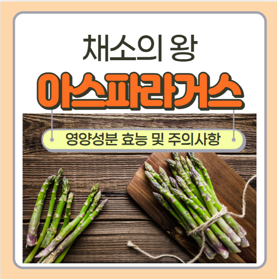 '채소의 왕' 아스파라거스 영양성분 효능 및 주의사항 - 다이어트 최고!