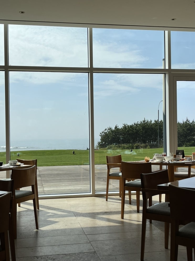  [ 제주 ] 해비치조식 “ 해비치섬모라 ” 후기