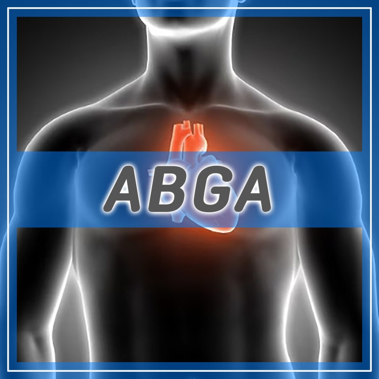 ABGA 정상수치 동맥혈가스검사