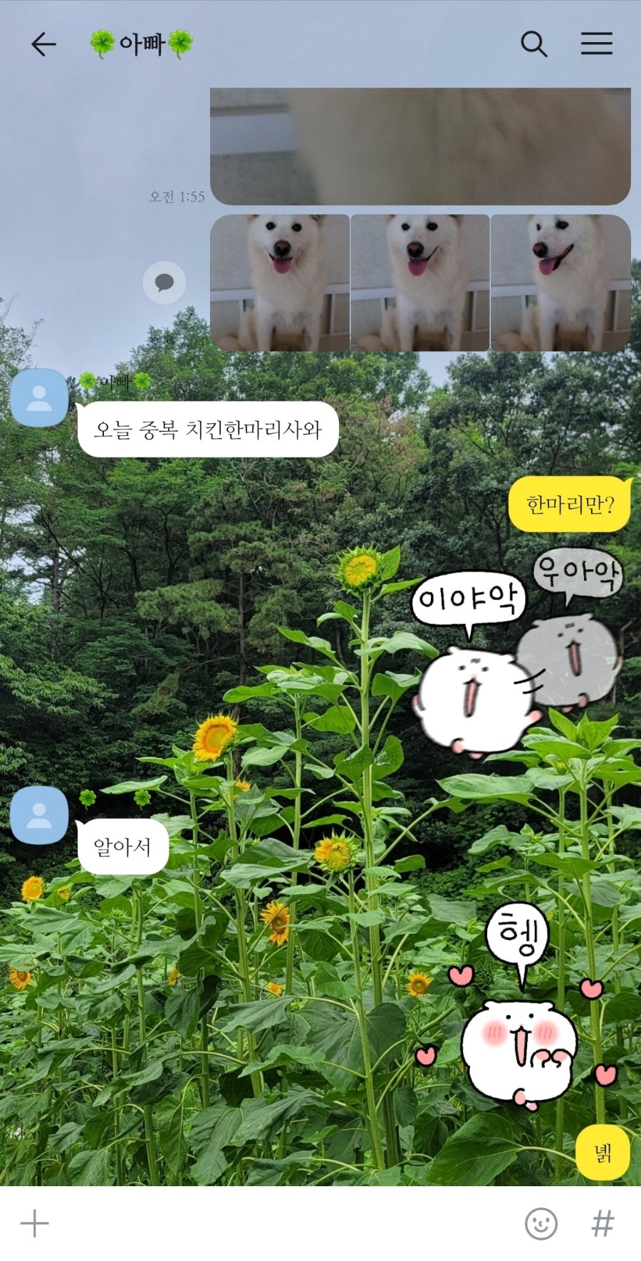 페리카나 이원점 사진 2