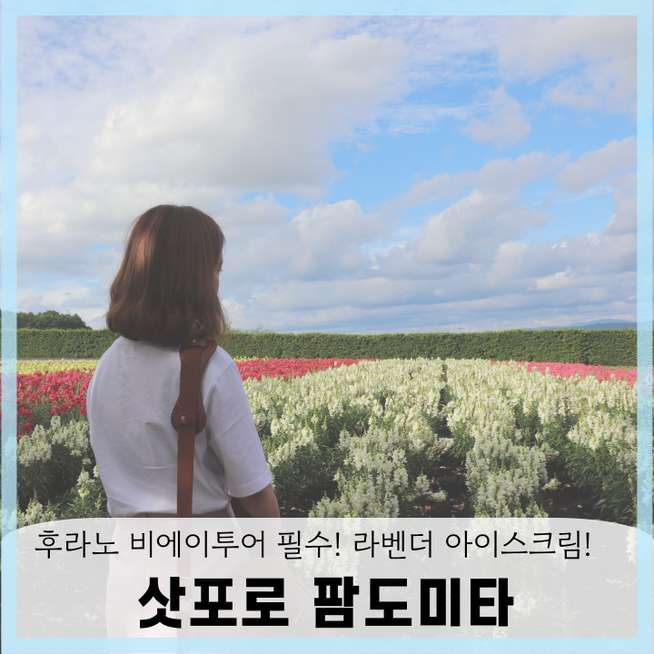  삿포로 팜도미타 후라노 비에이 투어 라벤더 아이스크림