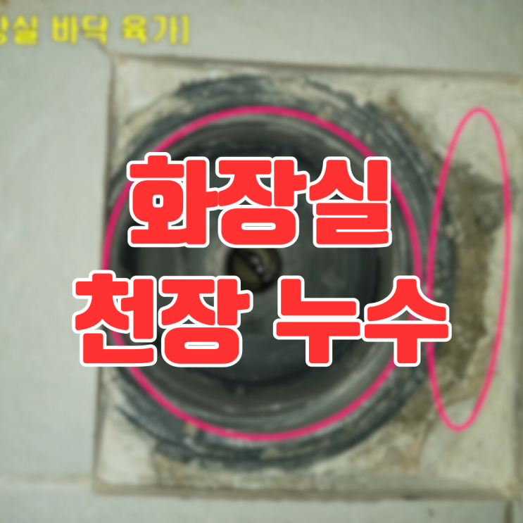  화성 향남 아파트 화장실 천장누수-안방 샤워부스에 물이 뚝뚝
