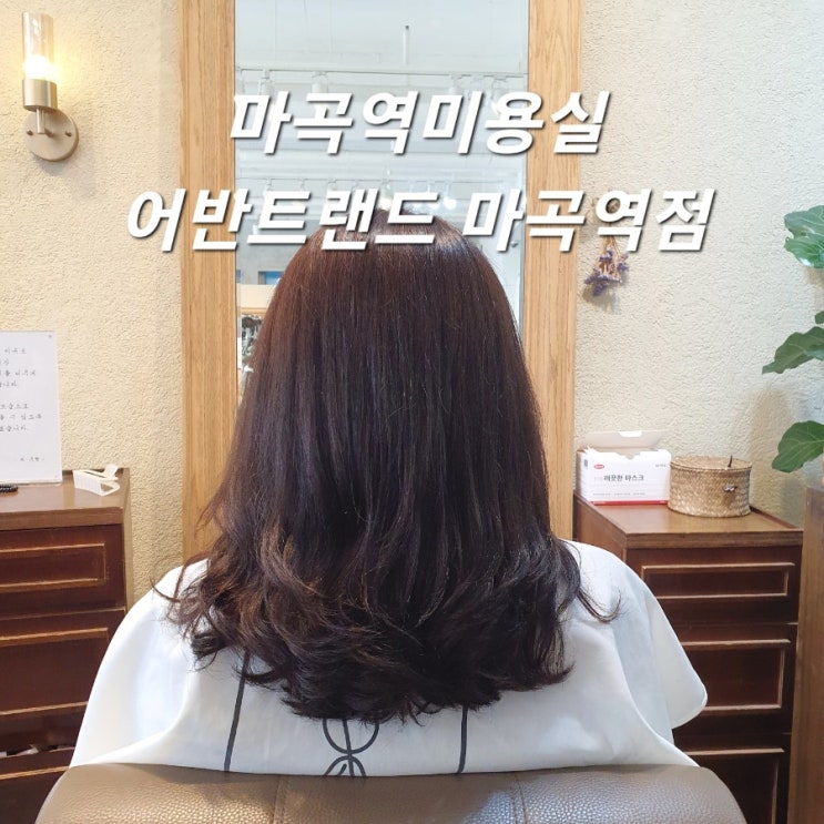  마곡 미용실 어반트랜드 마곡역점 새치염색 자연스러운 갈색 by 유나 쌤