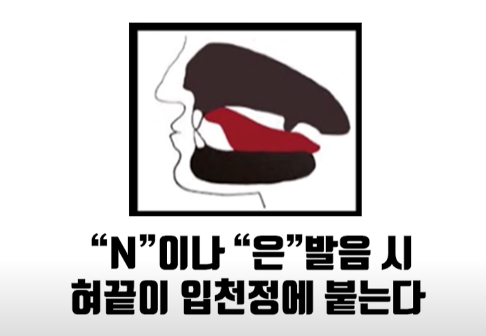뮤잉운동, 부작용없이 하는법 : 네이버 블로그