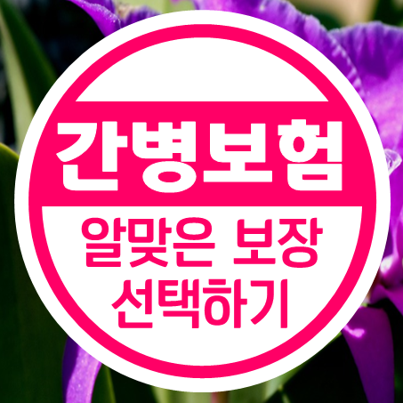  간병인보험비교 가이드 : 자신에게 알맞은 보장 선택하기