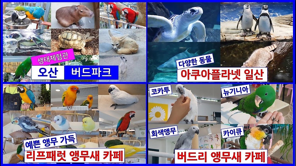 버드리 김포풍무점 사진 6