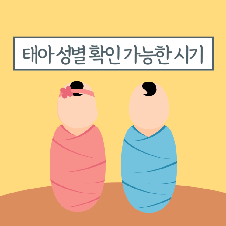  우리 아기는 여자? 남자? 임신 몇주차에 태아 성별 확인이 가능할까