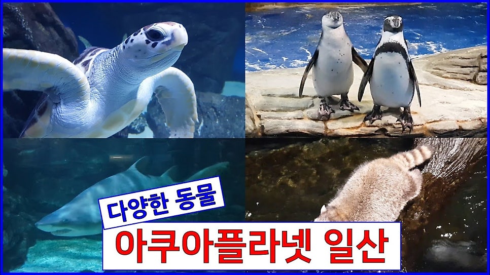 버드리 김포풍무점 사진 4