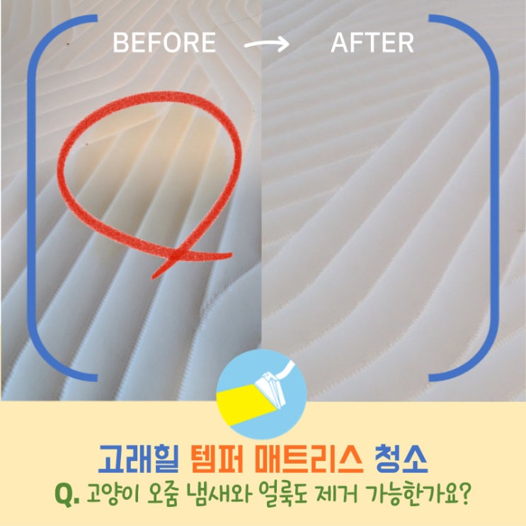  고덕래미안힐스테이트 템퍼매트리스청소, 고양이오줌냄새 제거 가능한가요?