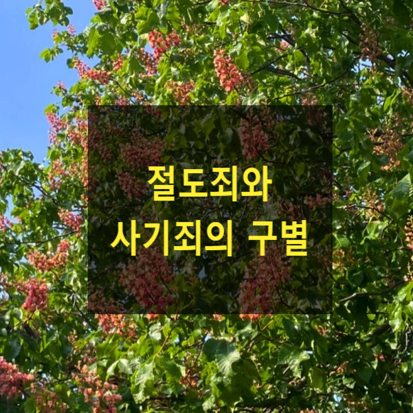  절도죄와 사기죄의 구별(대법원 2022. 12. 29. 선고 2022도12494)