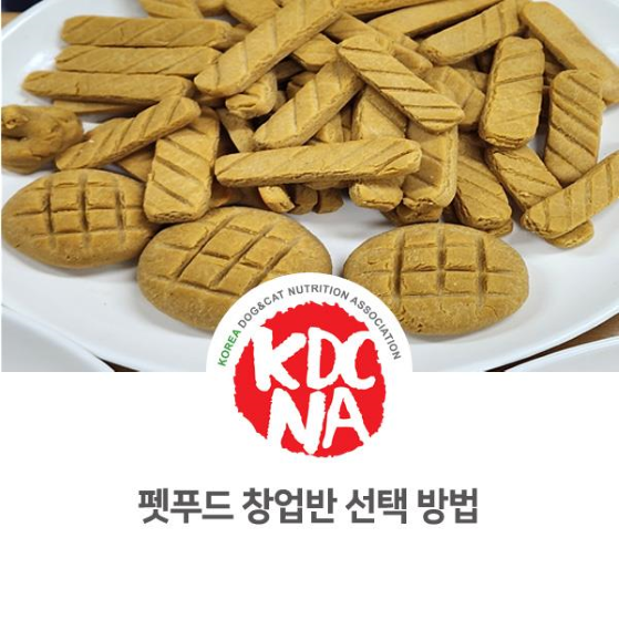  최수연 한국반려동물영양협회 수원나슬지부 올바른 펫푸드 창업 교육 선택하기_1091
