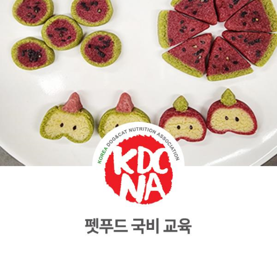  최수연 반려동물영양전문가 전라북도 군산 여성인력개발센터 펫푸드 국비 교육_1090