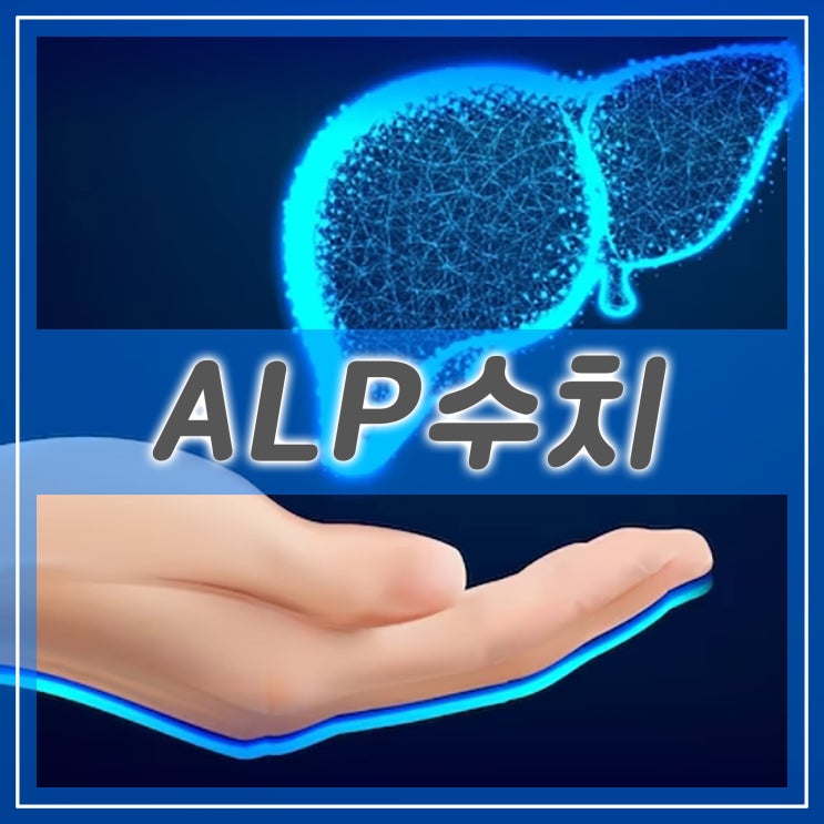 ALP 수치 간기능 검사 알칼리성 포스파타제 알아보기