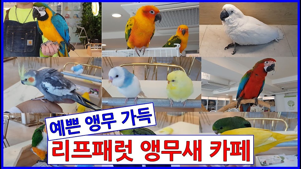 버드리 김포풍무점 사진 3