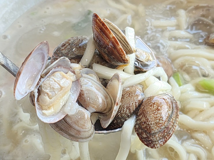 김포 해물칼국수 <고창바지락칼국수> 가성비 점심 메뉴 김포 해물칼국수 <고창바지락칼국수> 가성비 점심 메뉴