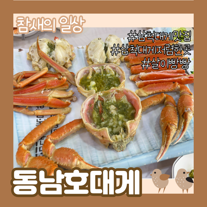  강원도 삼척 대게 저렴하게 먹는 방법! '동남호대게' 살이 꽉 찬 대게/대게거리/대게검은알멩이