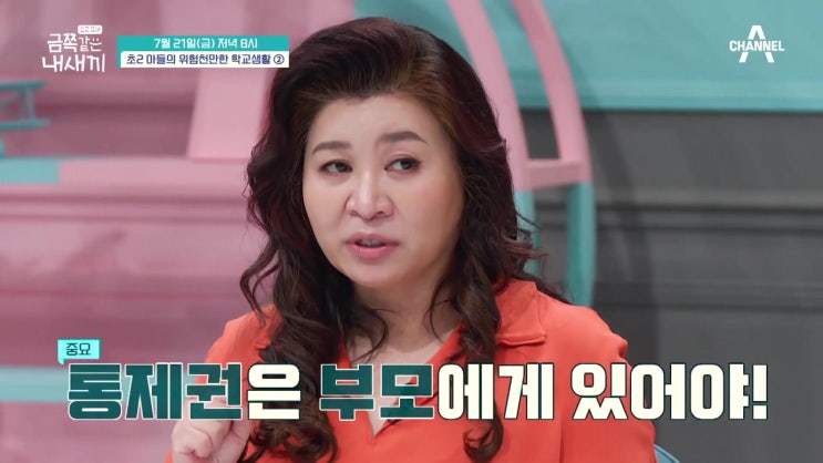 막말 초2 금쪽이 결국 홈스쿨링 서천석 오은영이 만들어낸 환상 경기도 교육감 임태희 출연 요즘육아 금쪽같은 내새끼 막말 초2 금쪽이 결국 홈스쿨링 서천석 오은영이 만들어낸 환상 경기도 교육감 임태희 출연 요즘육아 금쪽같은 내새끼