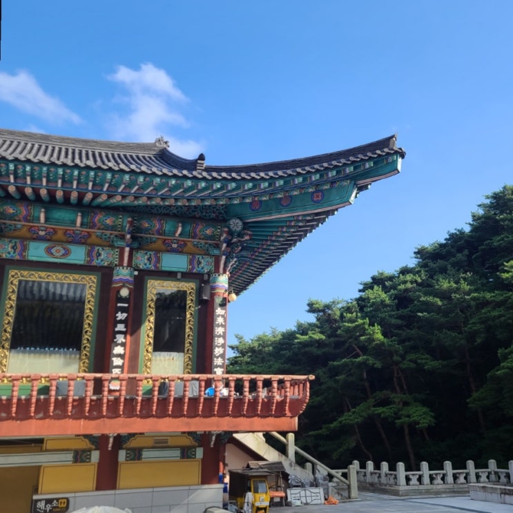  대구 동구 가볼만한 곳 팔공산 동화사 강아지 동반 산책
