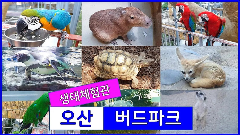 버드리 김포풍무점 사진 2