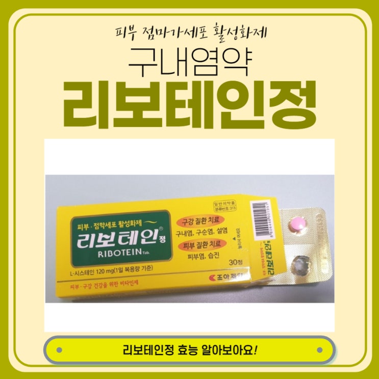  구내염약 리보테인정 효능 알아보아요