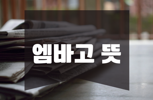  서이초교사 자살사건과 엠바고뜻 알아봅시다.