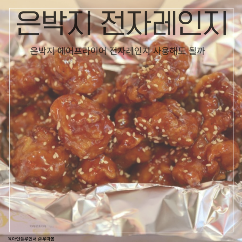 쿠킹호일 은박지 에어프라이어 전자레인지 사용가능할까? W.사용가능한 그릇