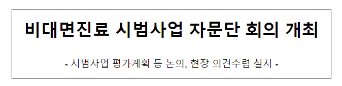 비대면진료 시범사업 자문단 회의 개최 비대면진료 시범사업 자문단 회의 개최