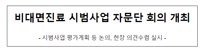 비대면진료 시범사업 자문단 회의 개최