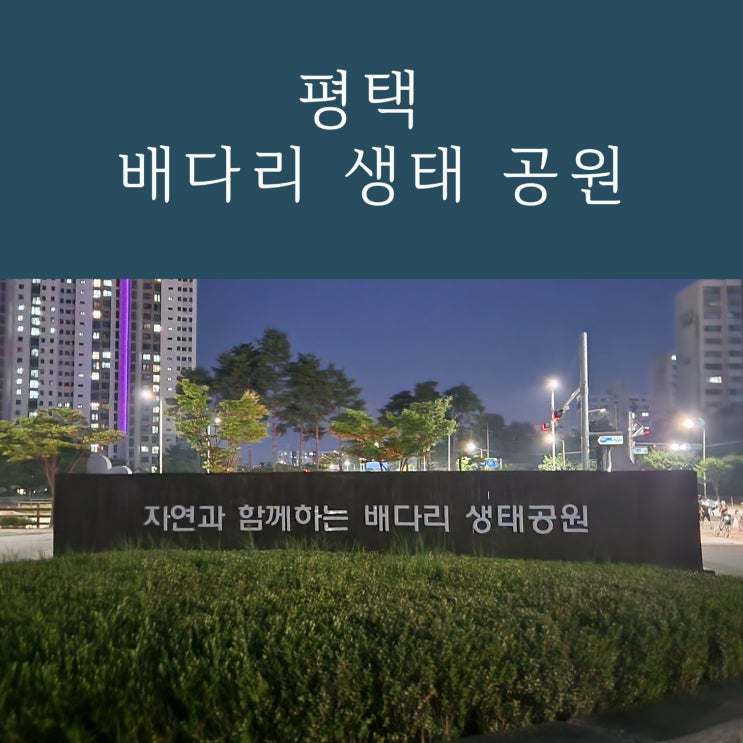  평택 산책하기 좋은 곳, 야경이 멋진 배다리 생태 공원