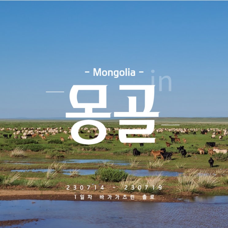  [몽골 여행] 1일차 칭기츠칸 공항 - 바가가츠린 촐로 / 바가가츠링 촐로 - 일반게르 몽골 여행 여름 몽골 날씨 준비물 팁