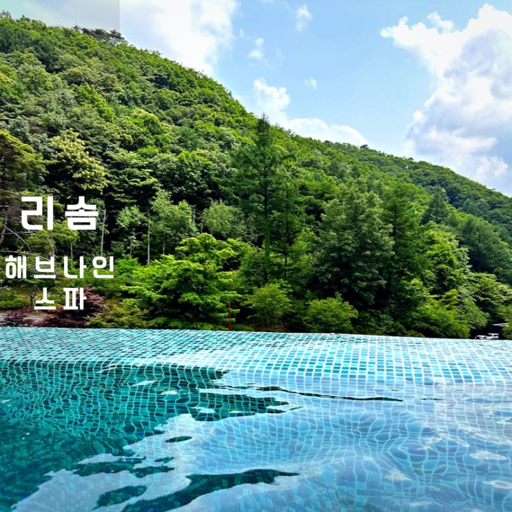  제천 포레스트 리솜 해브나인스파 온천 수영장 복장 할인 예약