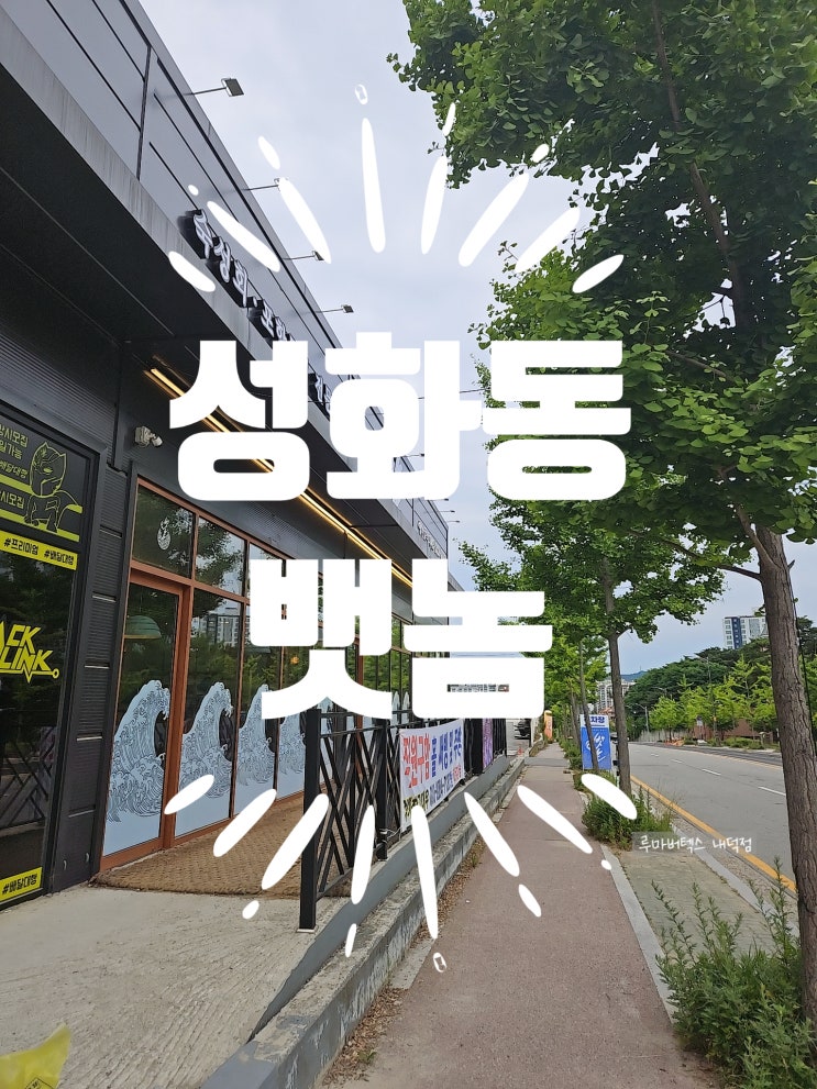  성화동 뱃놈에서 점심특선 백반과 포항물회를 먹고 왔어요~