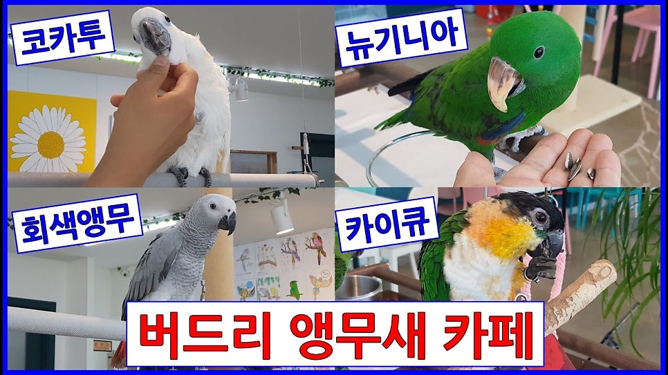 버드리 김포풍무점 사진 5