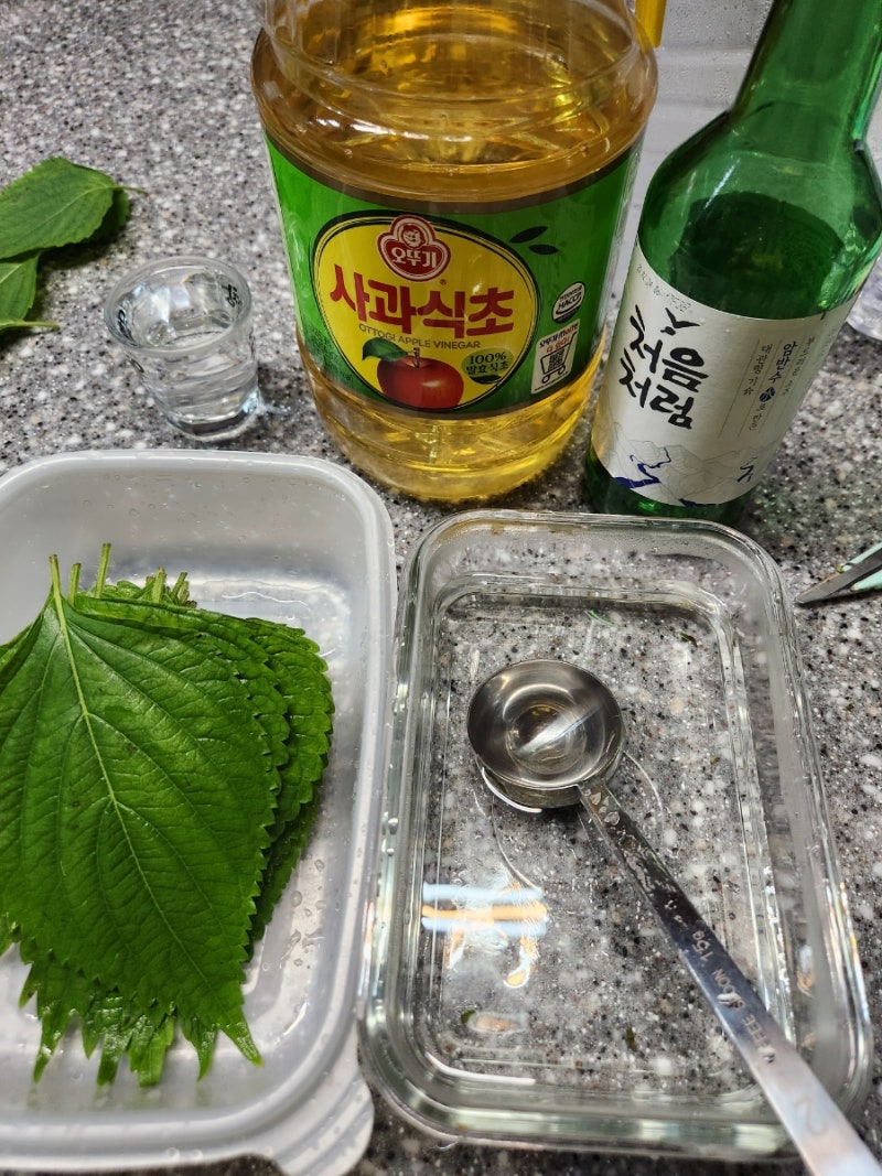 깻잎삭히기♡소금물에 깻잎삭히기