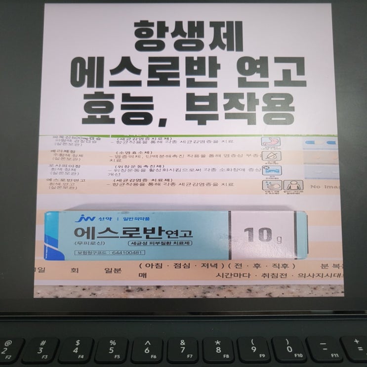  에스로반 연고 모낭염 항생제 효능, 효과, 성분, 용법, 주의사항, 부작용(무피로신 스테로이드)