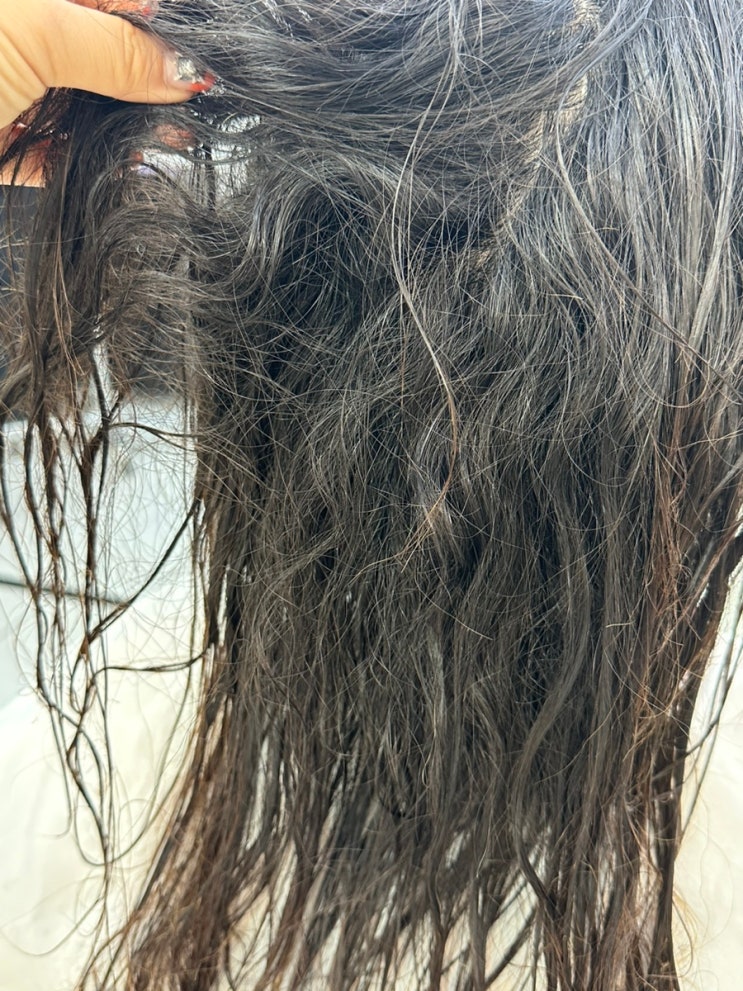  극손상모 탈색머리 악성곱슬 합정 복구매직 복구펌 복구히피펌