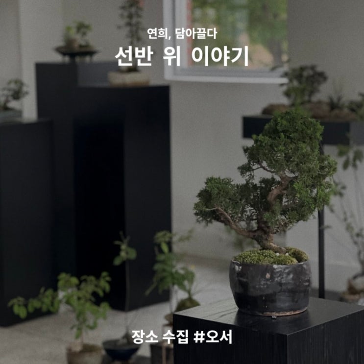  [연희동 놀거리] 도자기와 분재 클래스를 들을 수 있는 식물 가게 오서